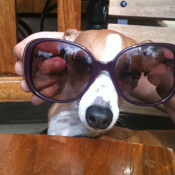 Meet your Posher, Meghan - Picture 1 of 1